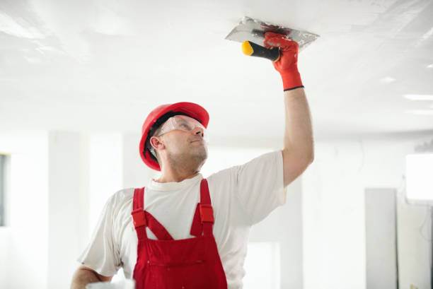 Environmental Consulting for Mold Prevention in Lusby, MD
