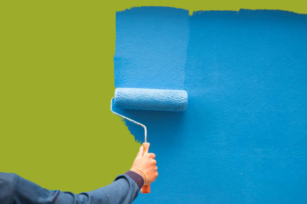 Best Basement Mold Removal  in Lusby, MD